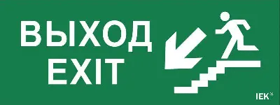 Этикетка самоклеящаяся "Выход/лестница вниз/фигура" ДПА IP20/54 IEK LPC10-1-24-09-VLVNF