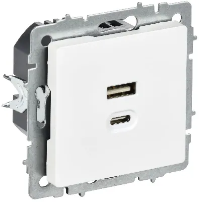 Розетка СП BRITE РЮ11-2-БрАБ USB A+C 45Вт высокоскор. заряд. арктич. бел. IEK BR-U22-045-K91