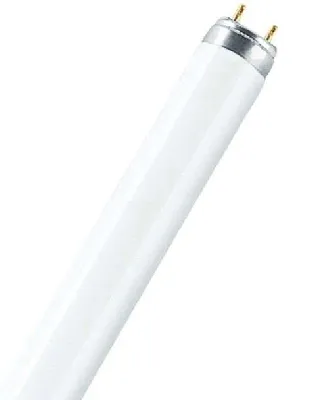 Лампа люминесцентная L 18W/865 LUMILUX 18Вт T8 6500К G13 смол. OSRAM 4008321581273